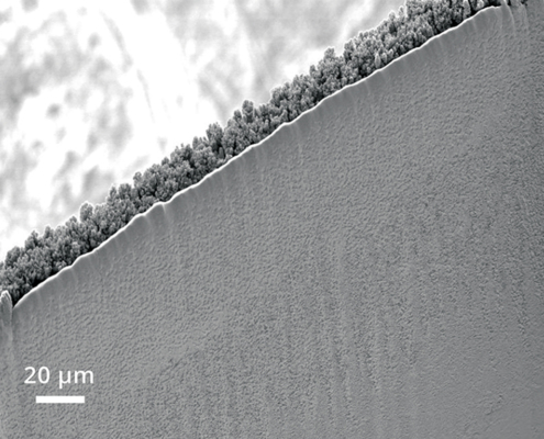 Thinning of silicon to 12 µm in preparation for a TEM lamella